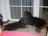 Josie 5 Monate
