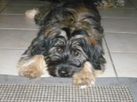 Josie 6 Monate