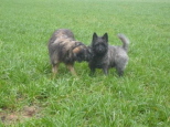 Josie 6 Monate