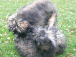 Josie 6 Monate