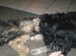 Josie 6 Monate