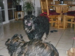 Josie 6 Monate