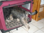 Josie 6 Monate