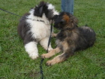 Josie 17 und 18 Wochen2