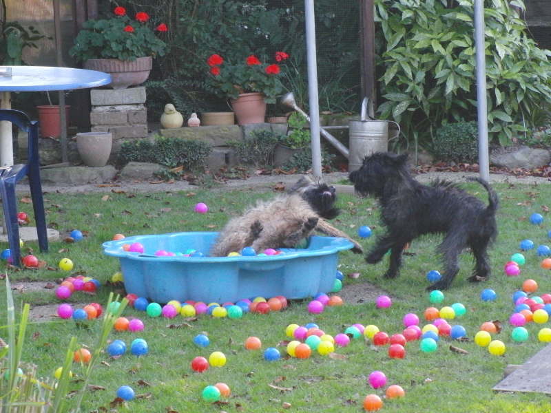 El Fuego del Viento Besuch