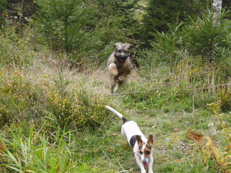 Bangos erster Urlaub