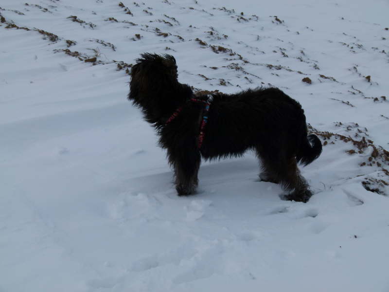 Winter 2011