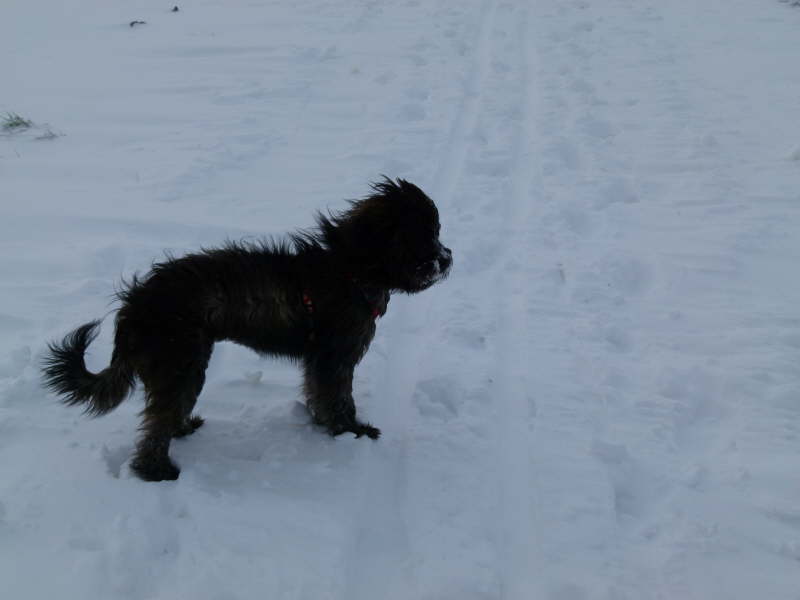 Winter 2011