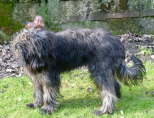 Fr�hjahr 2011