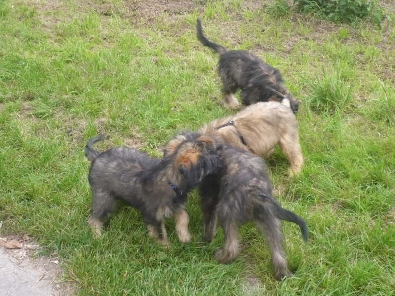 Spaziergang