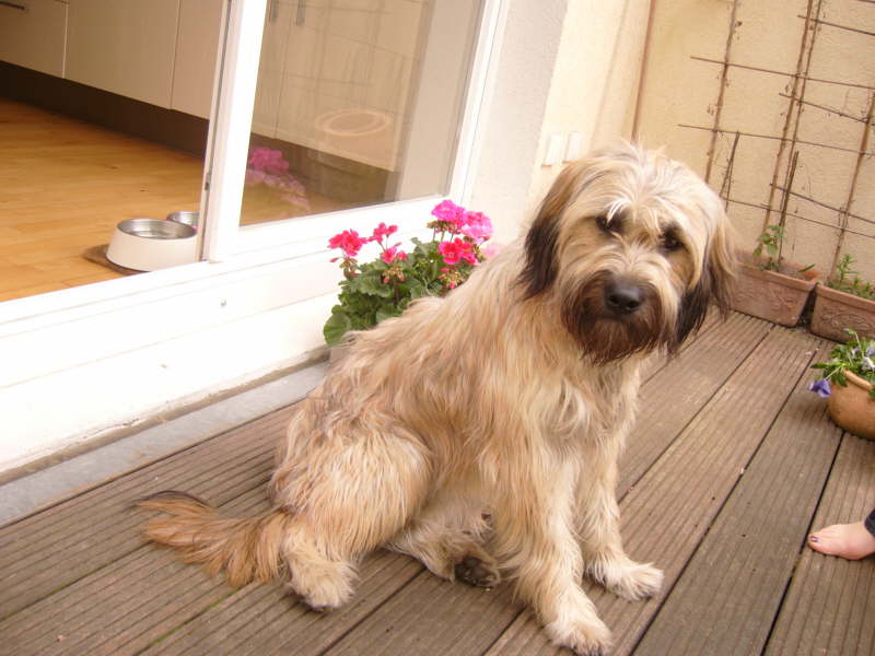 Sonnen auf dem Balkon