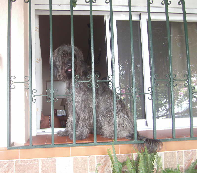 Spanien mein Ursprungsland