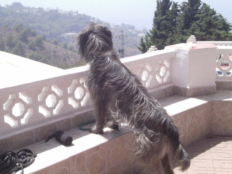 Spanien mein Ursprungsland