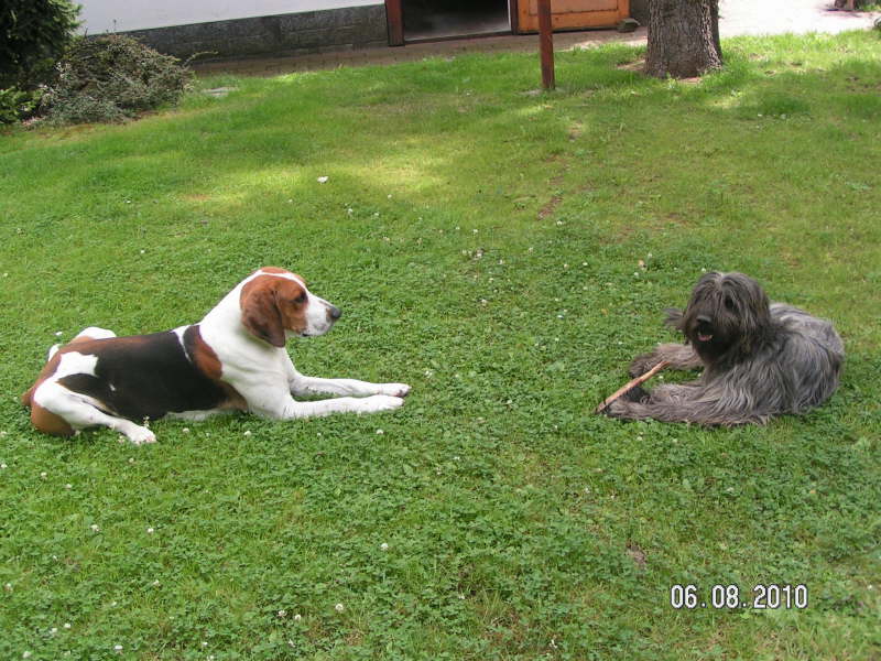 Brankas Spielkamerad