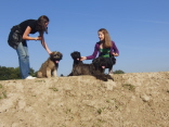 El Fuego del Viento Besuch