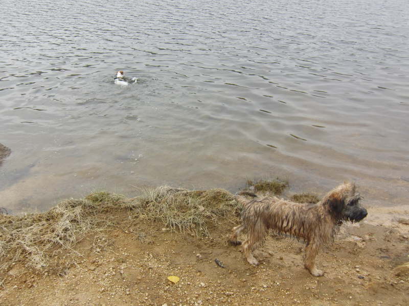Bangos erster Urlaub